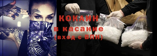 ГАЛЛЮЦИНОГЕННЫЕ ГРИБЫ Гусь-Хрустальный