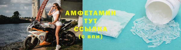прущие грибы Кукмор