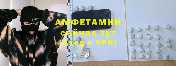 амф Гусев
