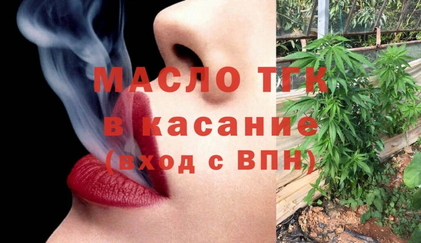 индика Новодвинск