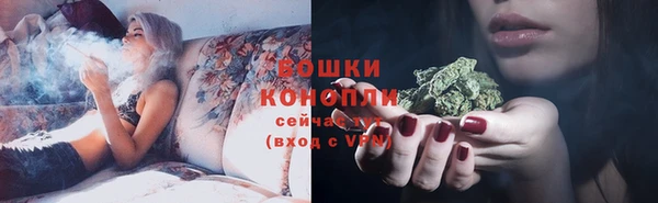 эйфоретик Новокубанск