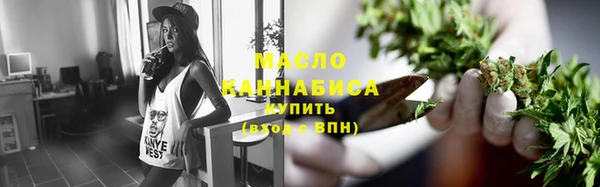 индика Новодвинск