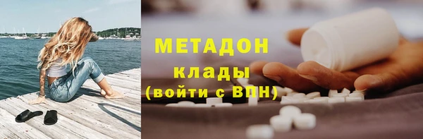 индика Новодвинск