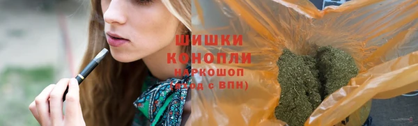 ГАЛЛЮЦИНОГЕННЫЕ ГРИБЫ Гусиноозёрск
