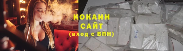ГАЛЛЮЦИНОГЕННЫЕ ГРИБЫ Гусь-Хрустальный