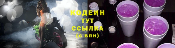 индика Новодвинск