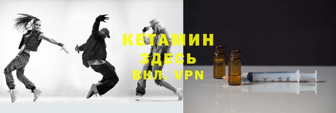 амф Гусев