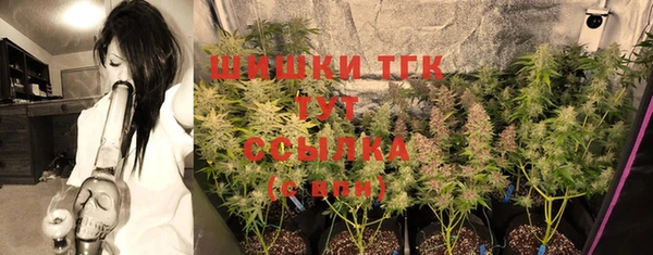 индика Новодвинск
