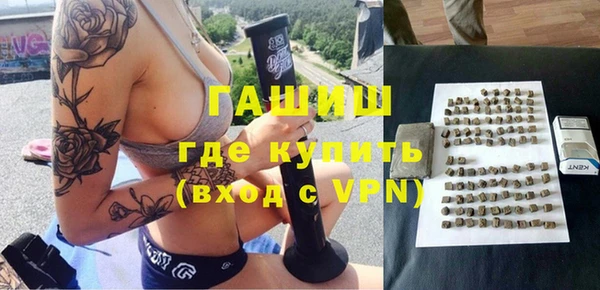 индика Новодвинск