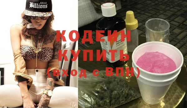 индика Новодвинск