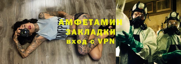 амф Гусев