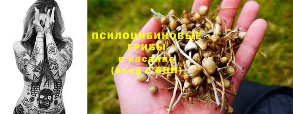 амф Гусев